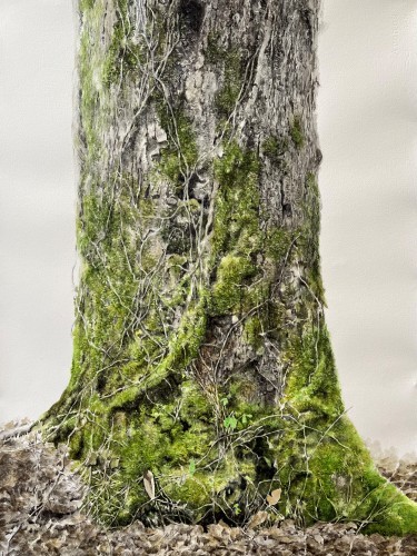 treewithmoss